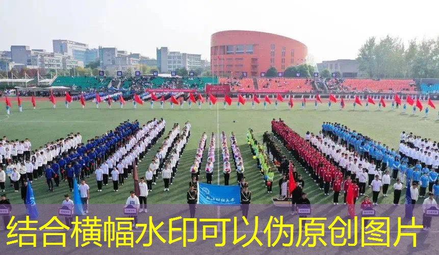 爱游戏ayx总部：儿童网球拍23寸25寸