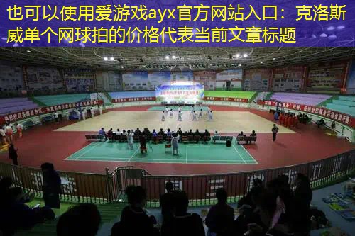 爱游戏ayx官方网站入口：克洛斯威单个网球拍的价格