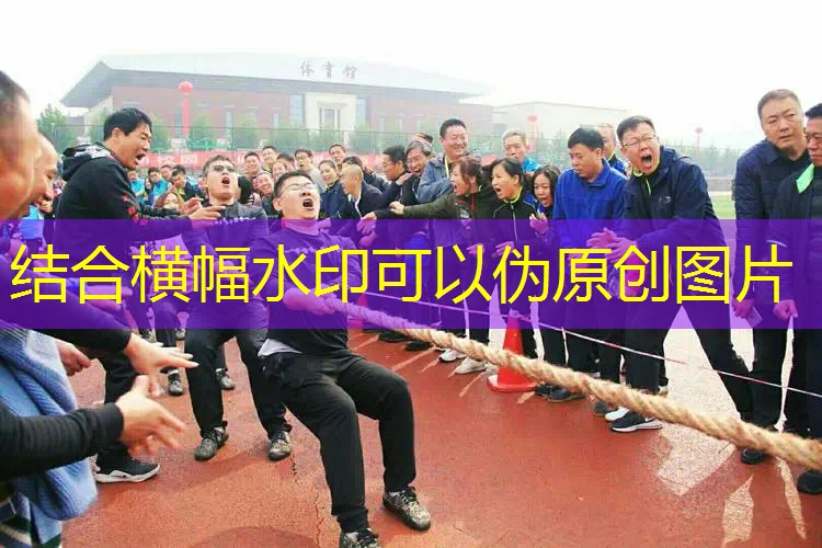 爱游戏中国官方网站：高中生用什么网球拍好