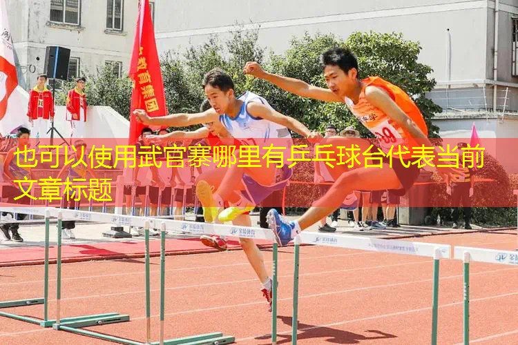 武官寨哪里有乒乓球台