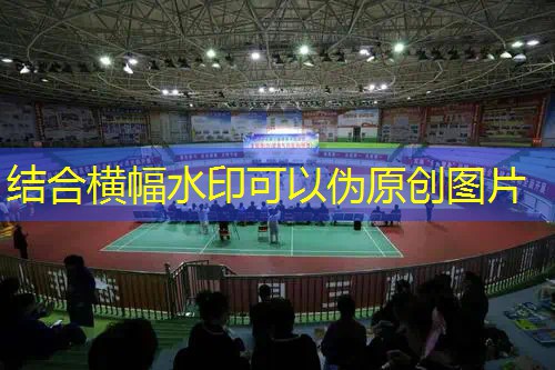威尔逊2022网球拍