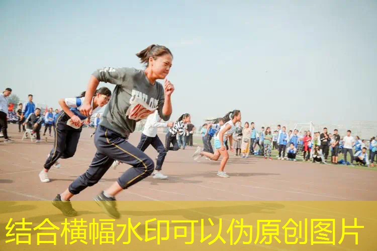 网球拍能用龙骨手胶吗_ 网球拍能用龙骨手胶吗_
