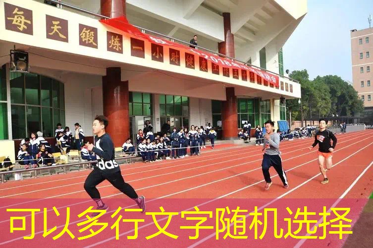 室内健身房墙壁器材 室内健身房墙壁器材